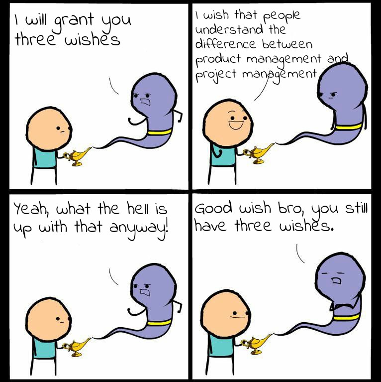 Genie Likes Wish - Product and Project management